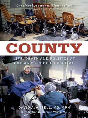 cover image of County